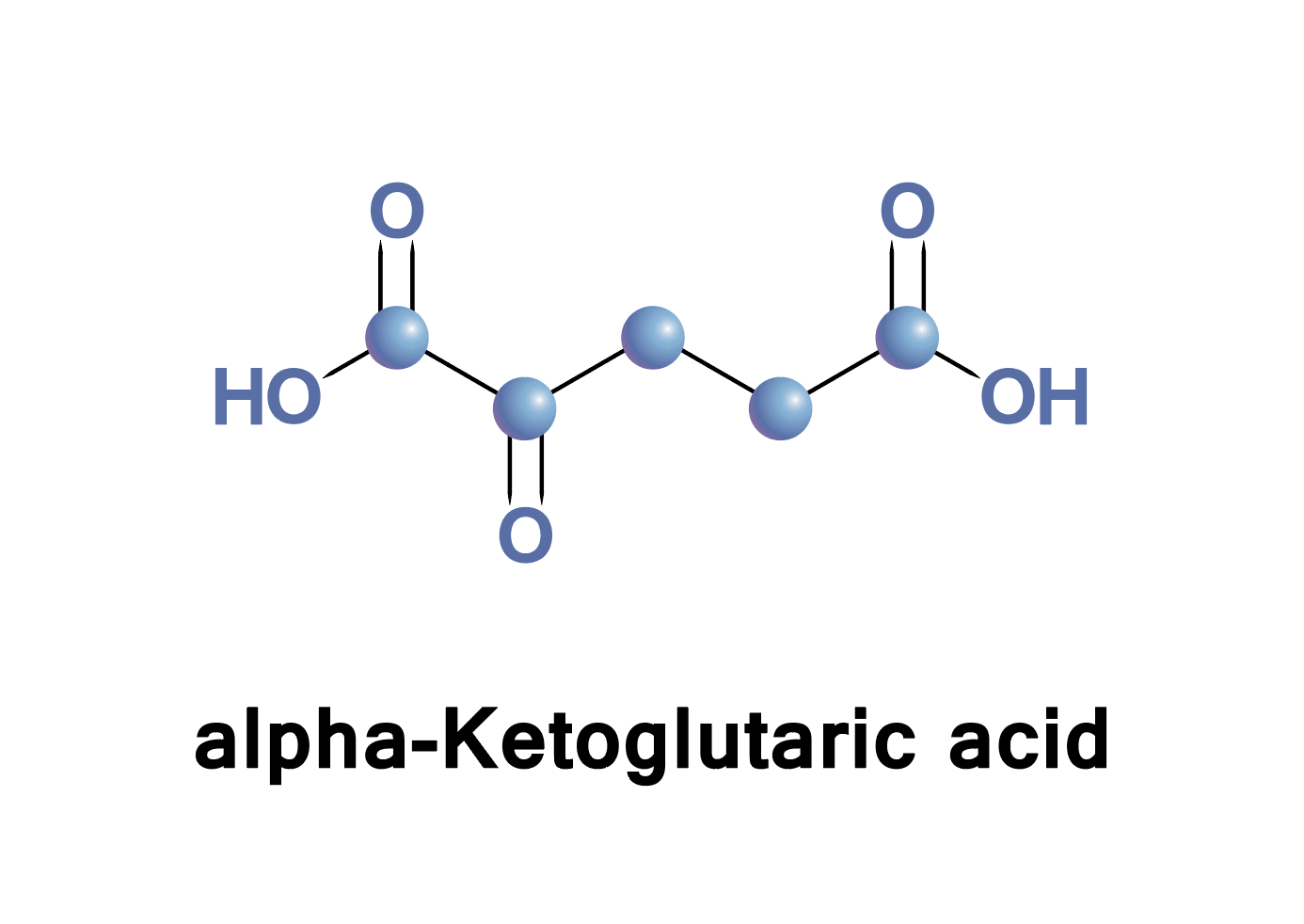 Alpha Ketoglutaric acid molecule diagram