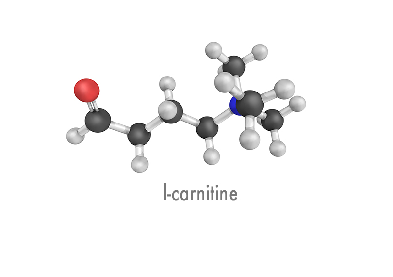 carnitine