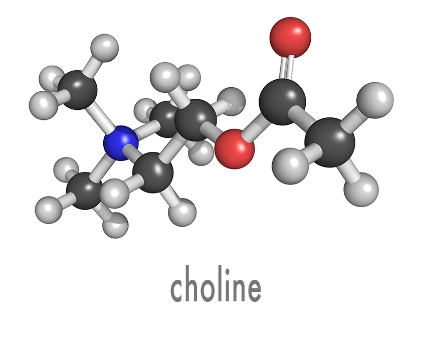 choline