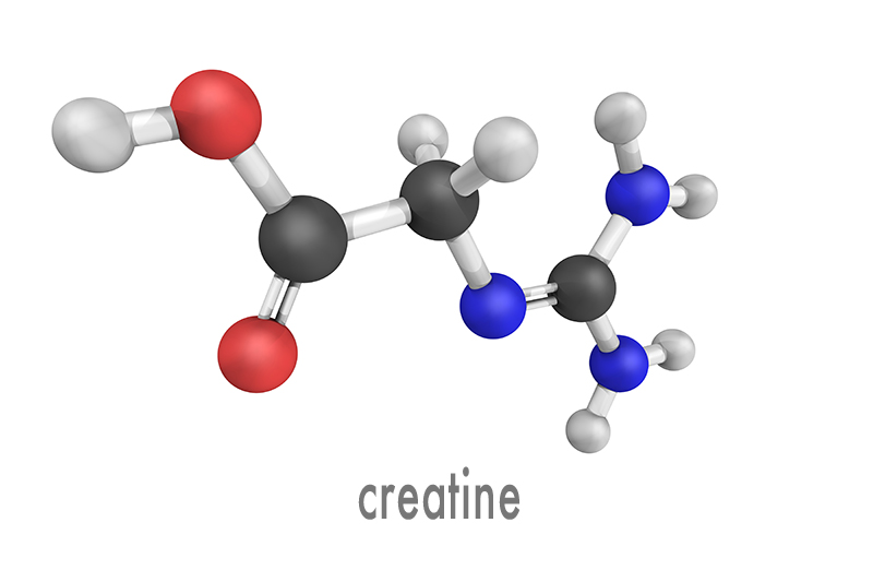 creatine