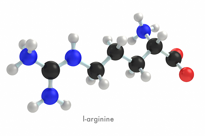 l-arginine