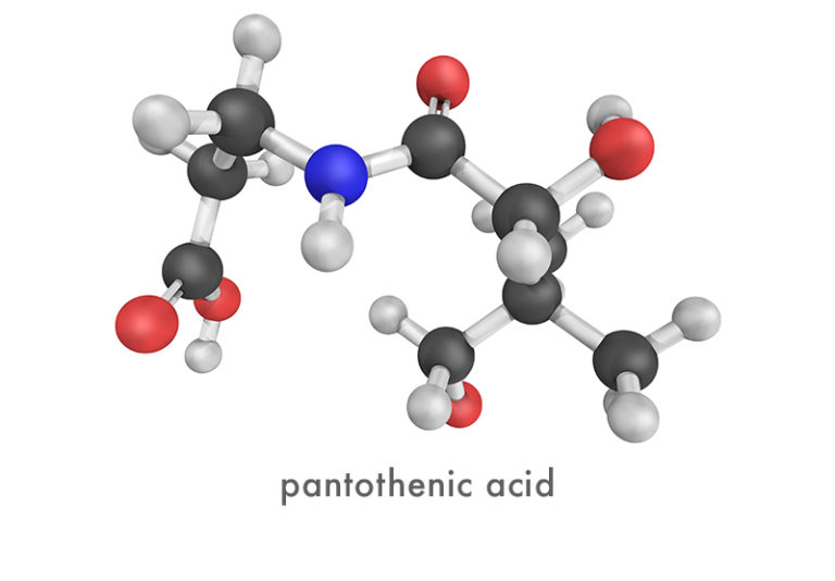 PANTOTHENIC ACID (also known as vitamin B5 or pantothenate) – Neuroneeds