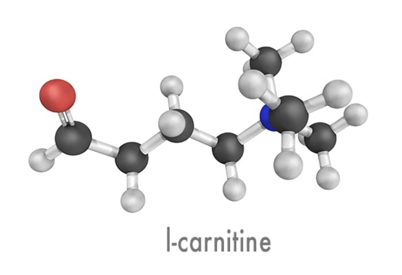 l-carnitine